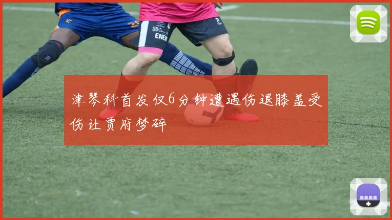 津琴科首发仅6分钟遭遇伤退膝盖受伤让贾府梦碎