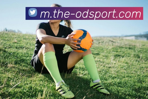 OD体育发展历程